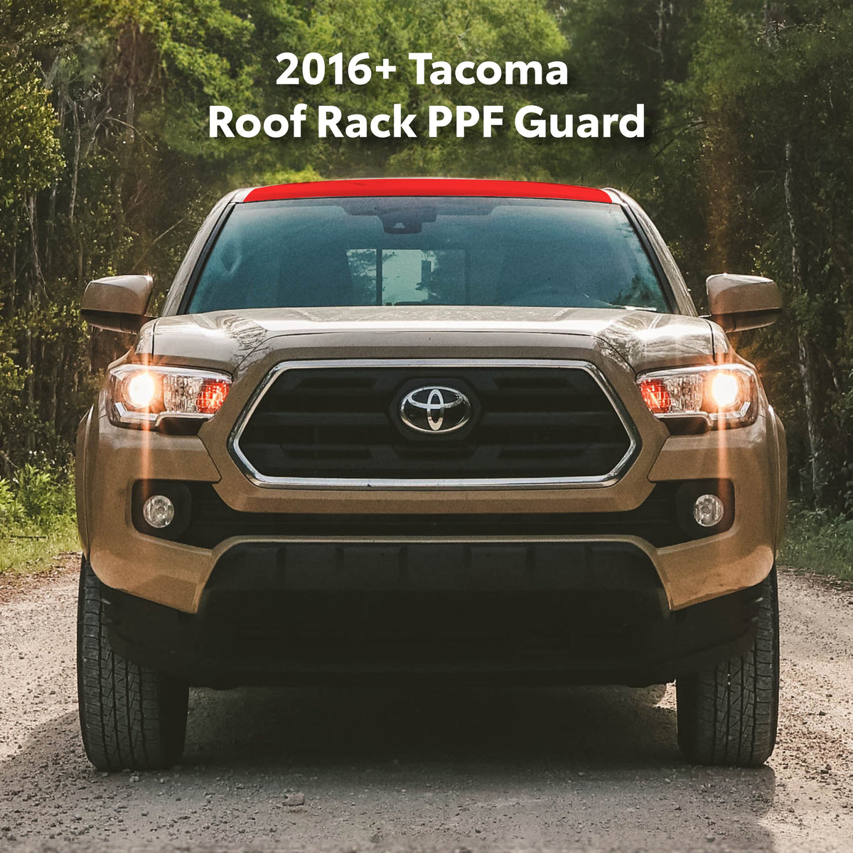 2016-23 Tacoma PPF Roof Rack Guard