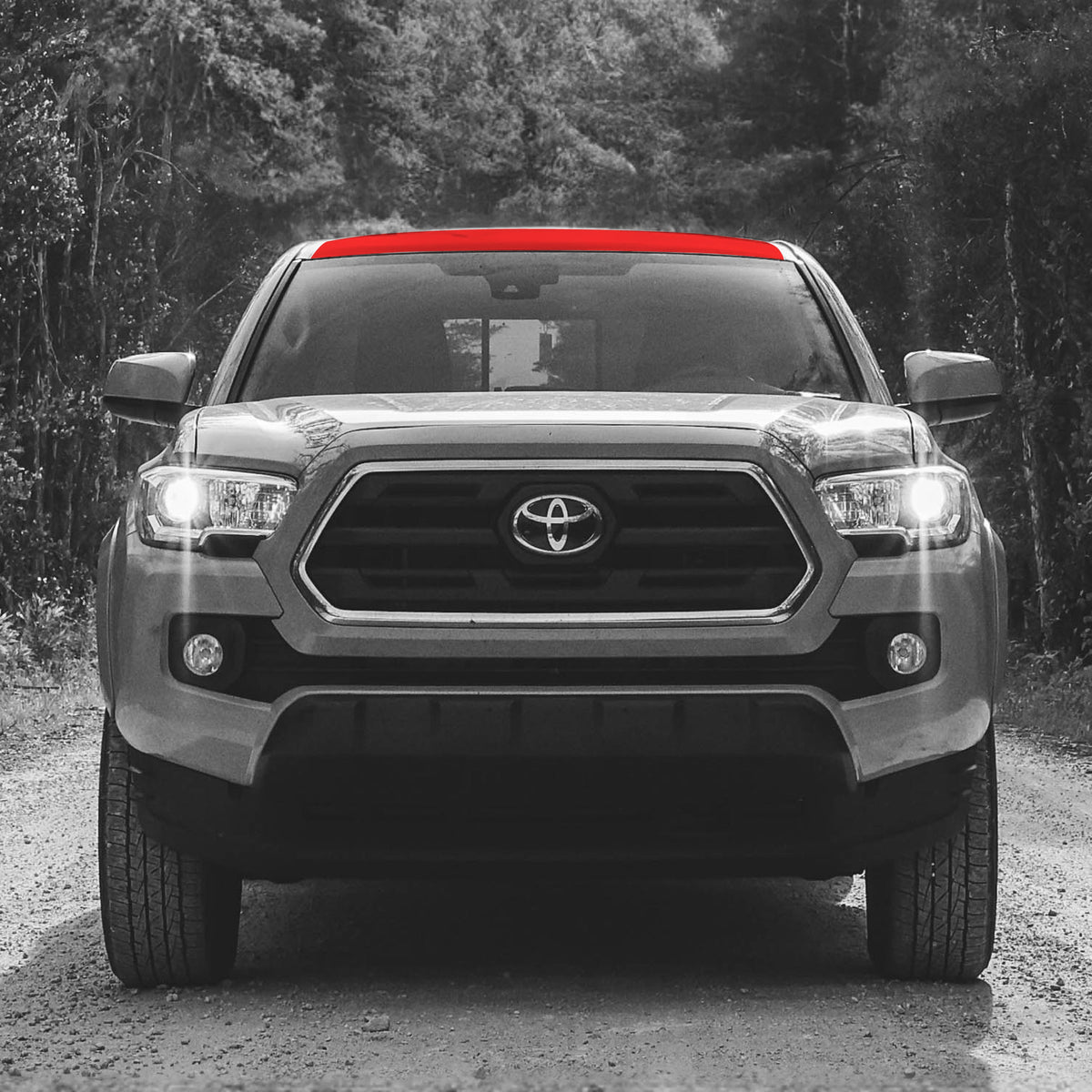 2016-23 Tacoma PPF Roof Rack Guard