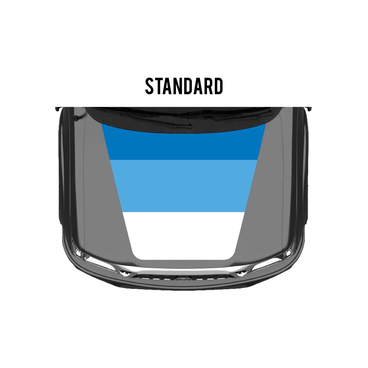 2001-04 Tacoma Checkered Stripe Kit