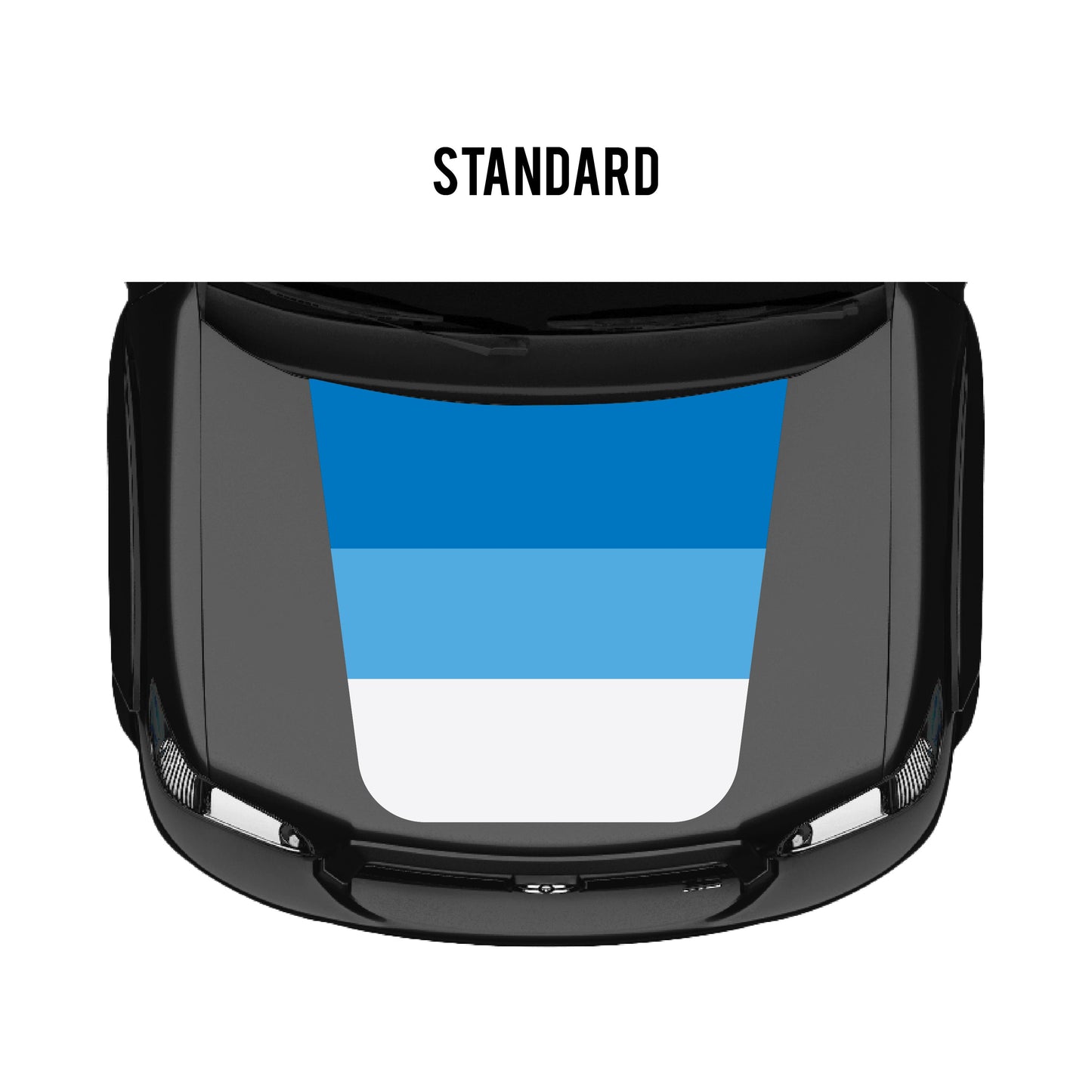 2001–07 Sequoia Checkered Stripe Kit