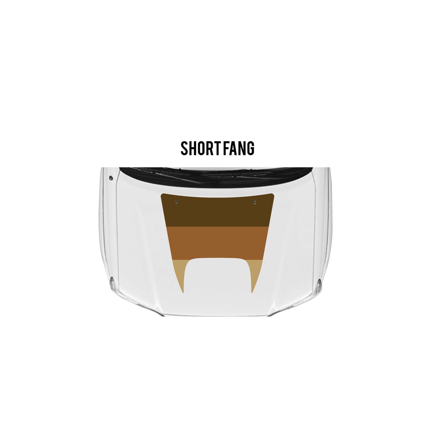 2005-15 Tacoma Checkered Stripe Kit