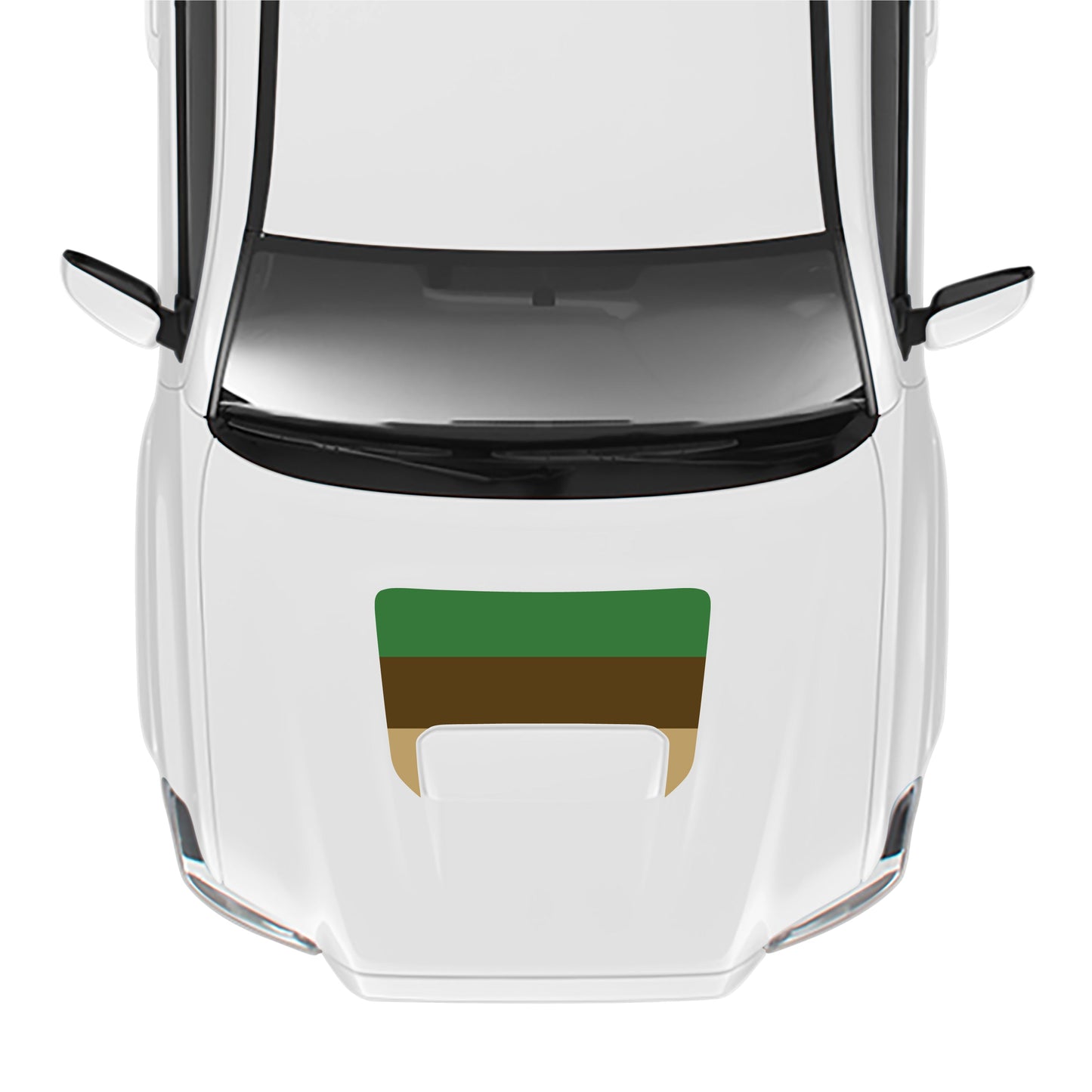 2016-23 Tacoma Sport/Pro Hood Stamp