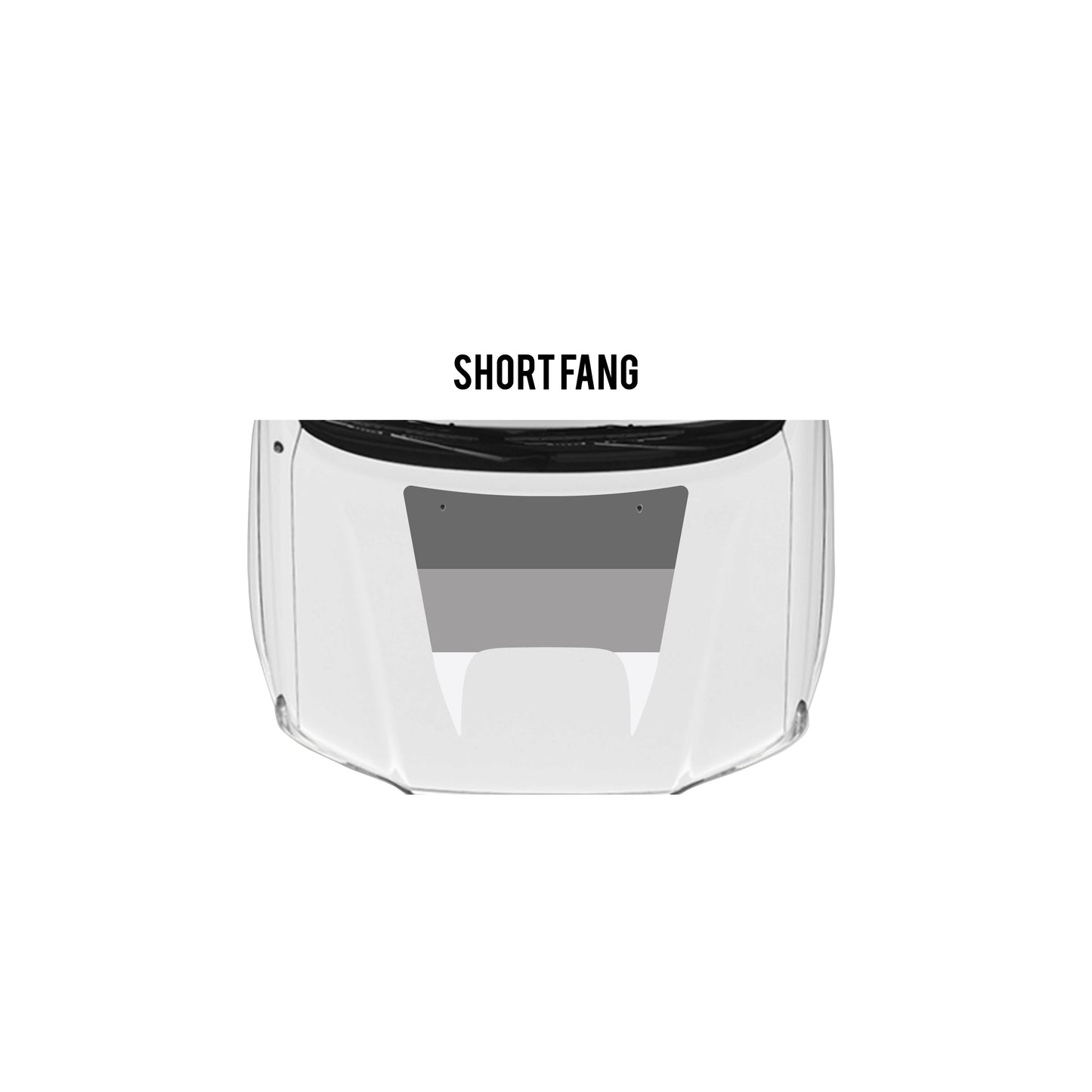 2005-15 Tacoma Checkered Stripe Kit