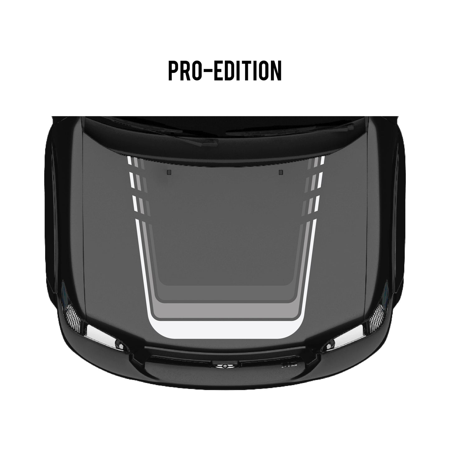 2001–07 Sequoia Checkered Stripe Kit