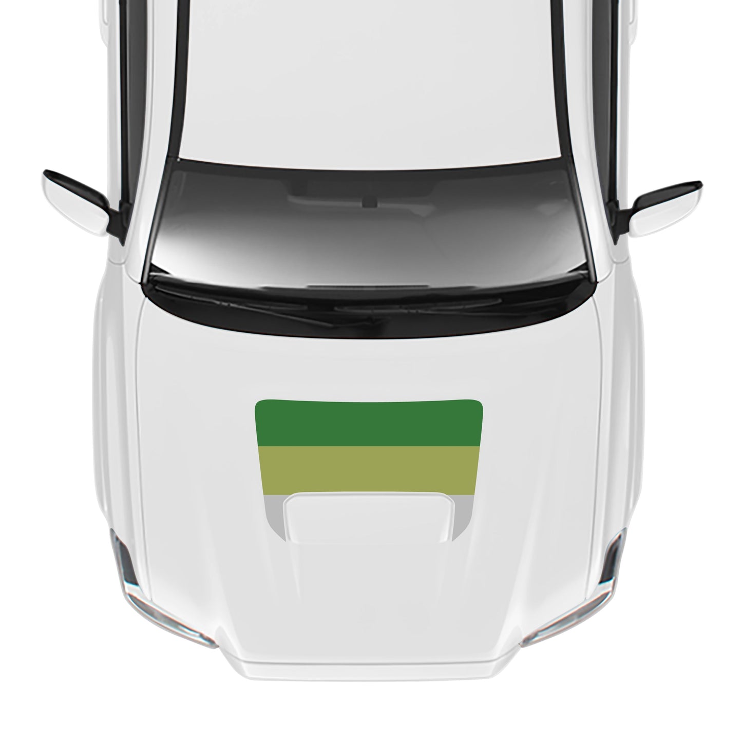 2016-23 Tacoma Sport/Pro Hood Stamp