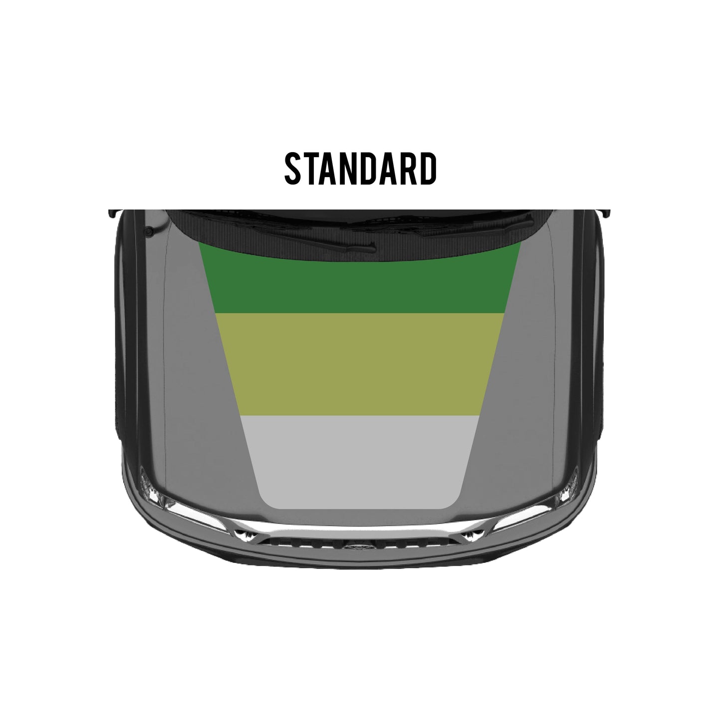2001-04 Tacoma Checkered Stripe Kit