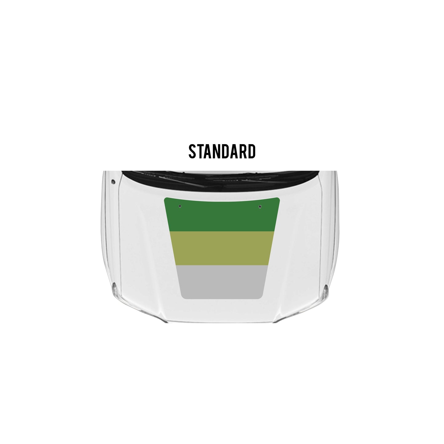 2005-15 Tacoma Checkered Stripe Kit