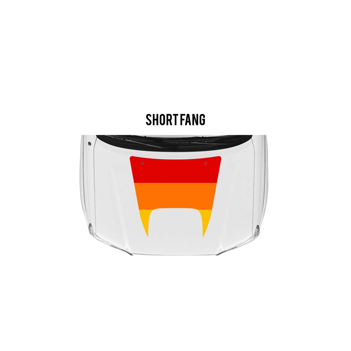 2005-15 Tacoma Checkered Stripe Kit