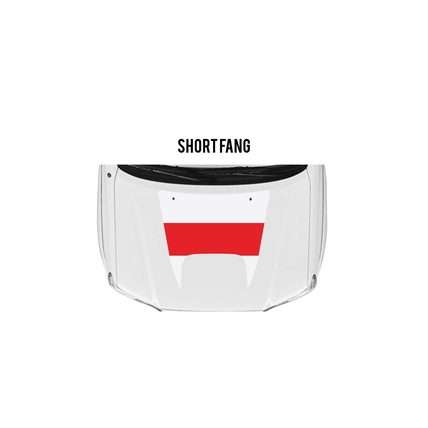 2005-15 Tacoma Checkered Stripe Kit