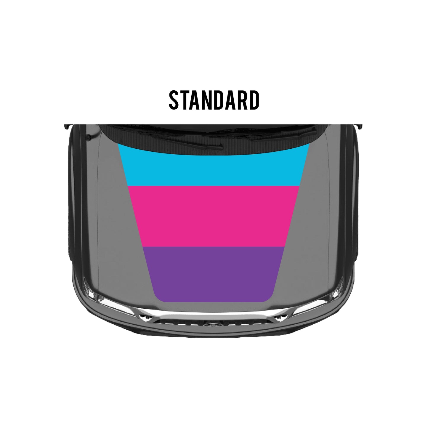 2001-04 Tacoma Checkered Stripe Kit