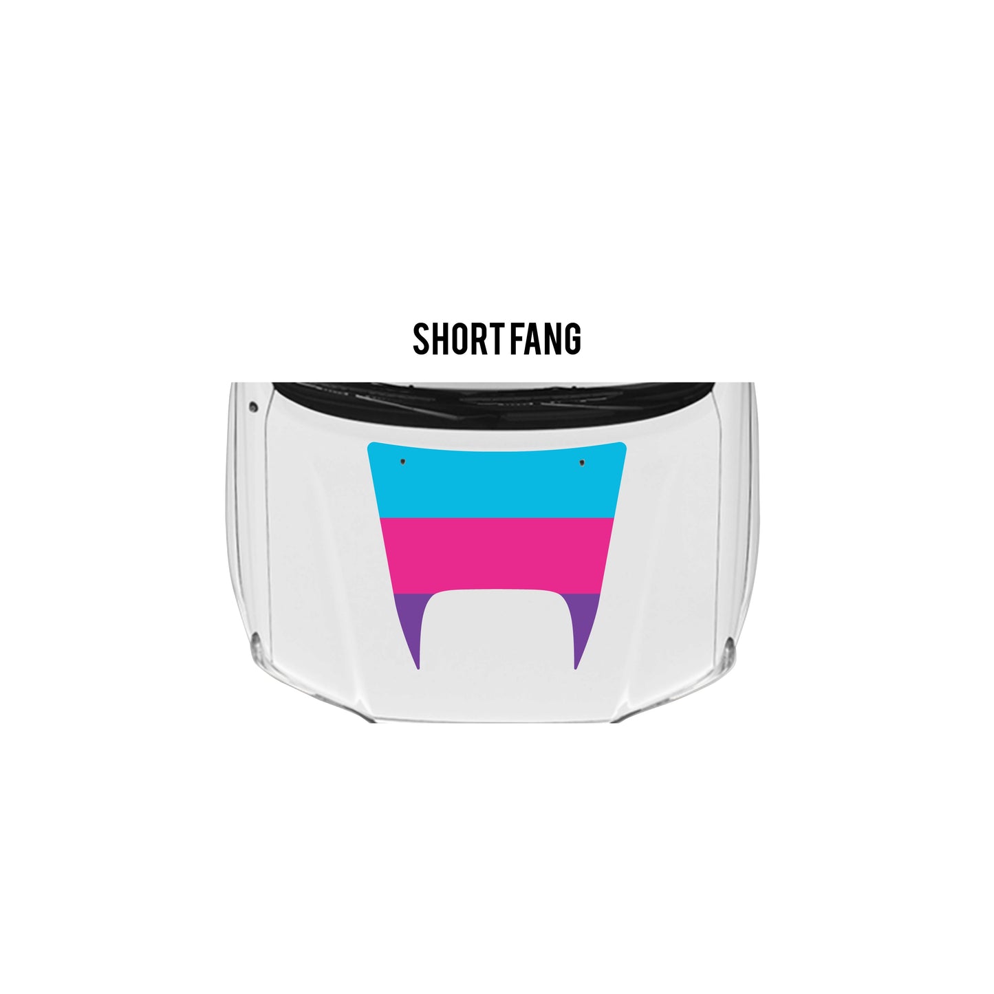 2005-15 Tacoma Checkered Stripe Kit