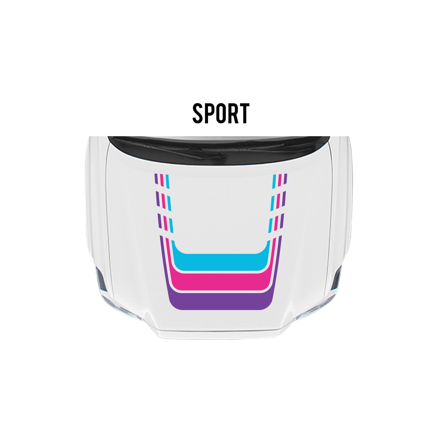 2016-23 Tacoma Checkered Stripe Kit