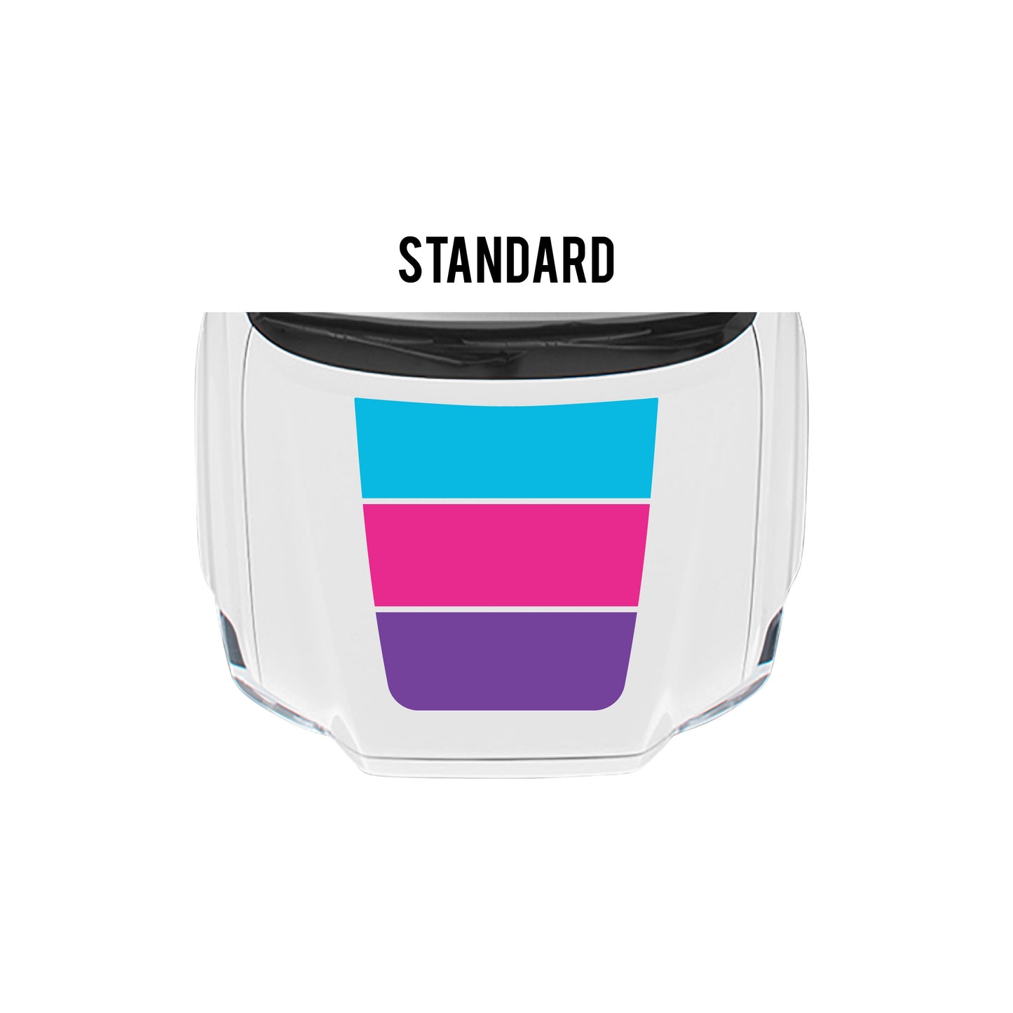 2016-23 Tacoma Checkered Stripe Kit