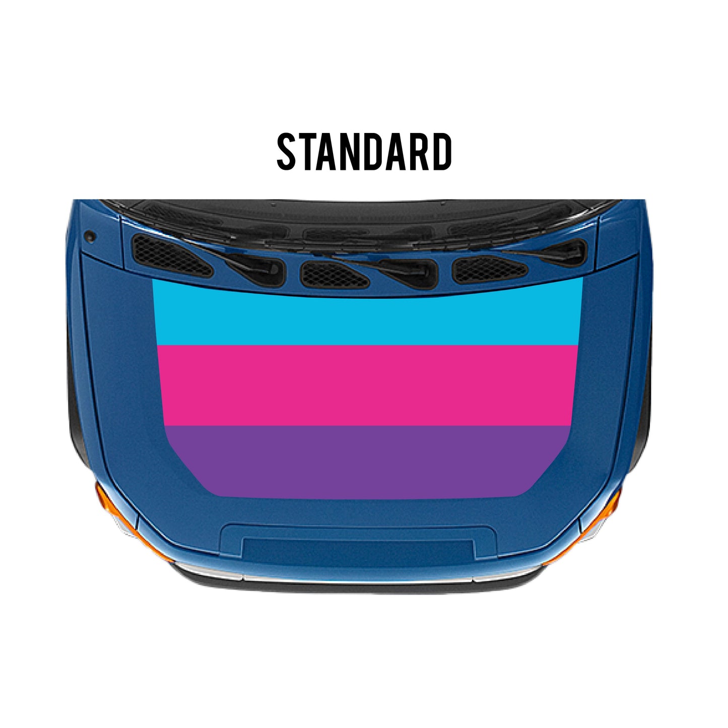 2007-14 FJ Cruiser Checkered Stripe Kit