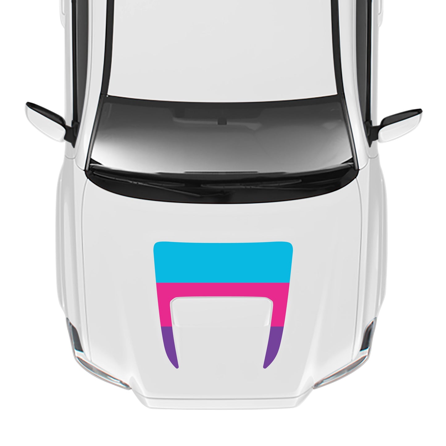 2016-23 Tacoma Sport/Pro Hood Stamp