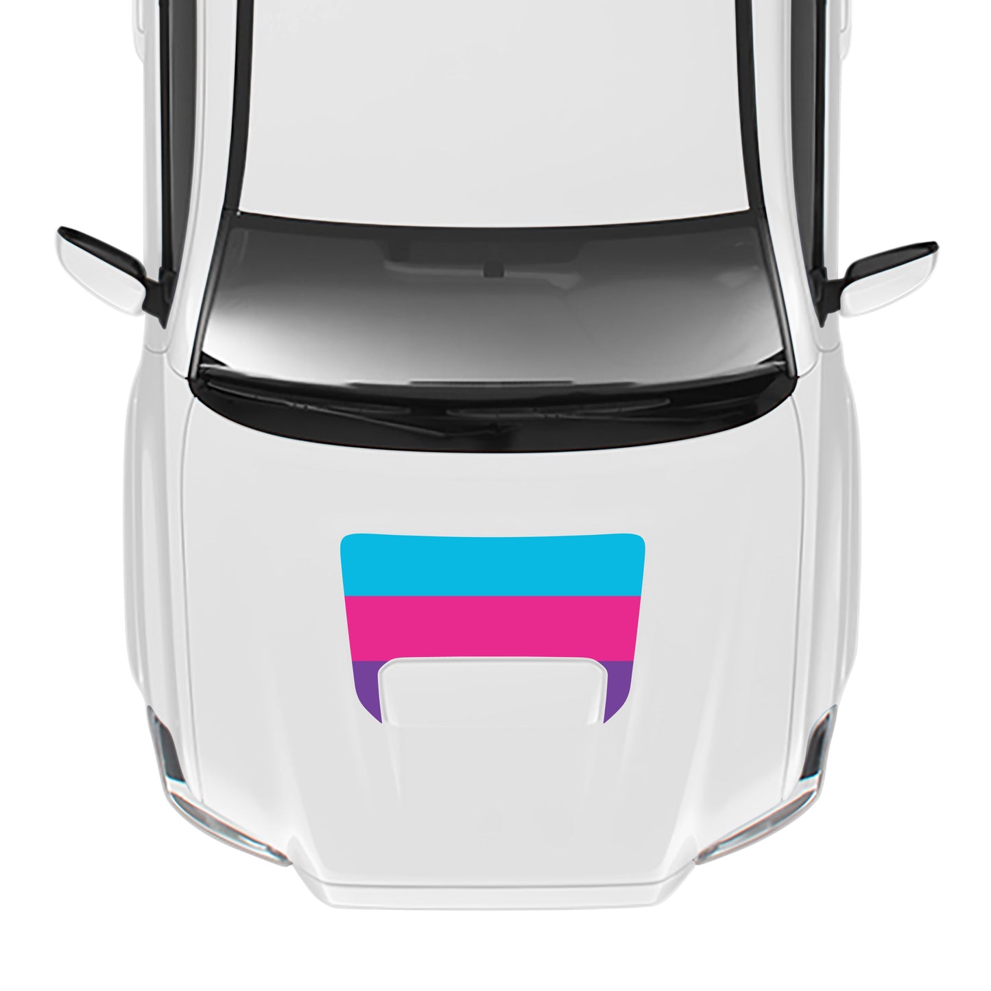 2016-23 Tacoma Sport/Pro Hood Stamp