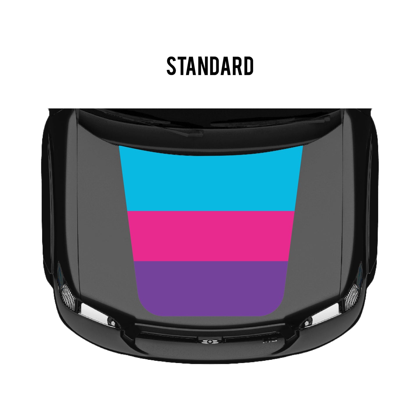 2001–07 Sequoia Checkered Stripe Kit