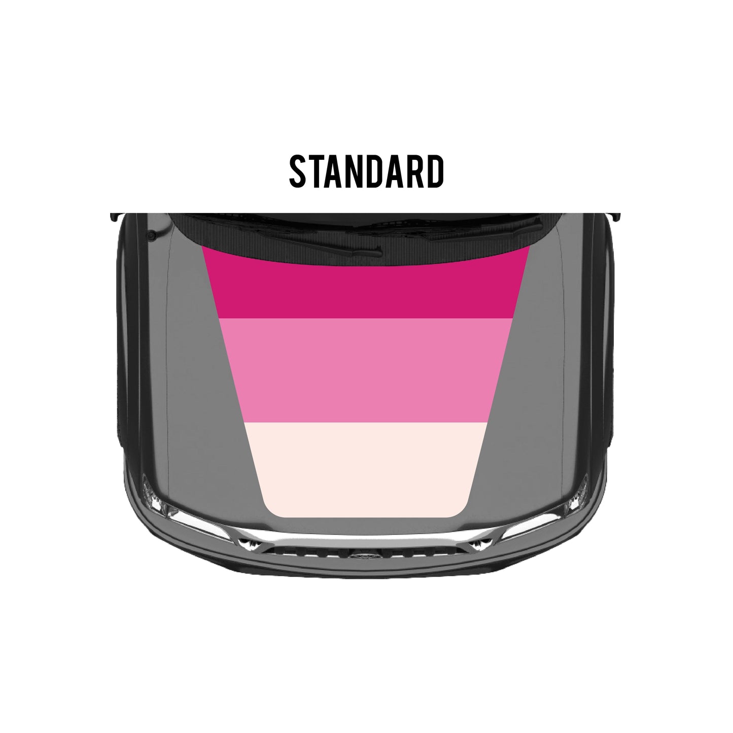 2001-04 Tacoma Checkered Stripe Kit