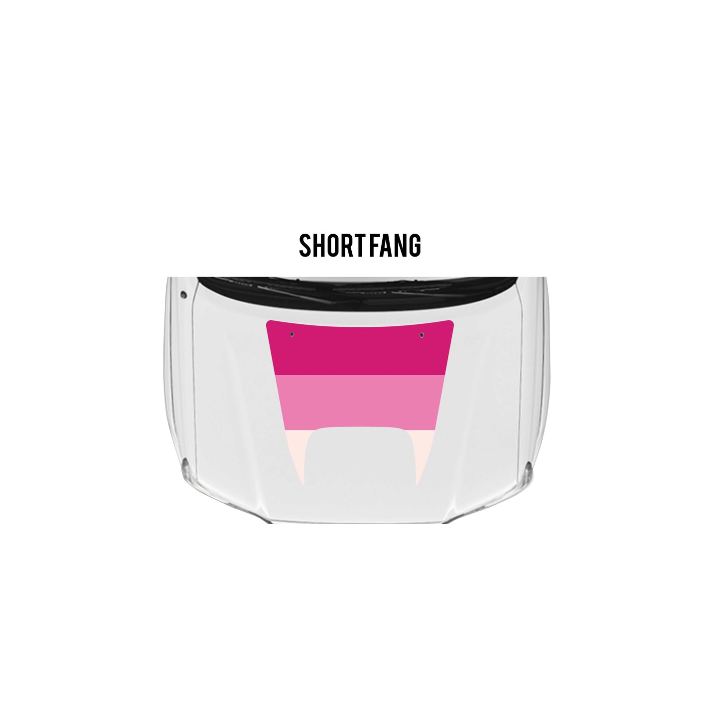 2005-15 Tacoma Checkered Stripe Kit