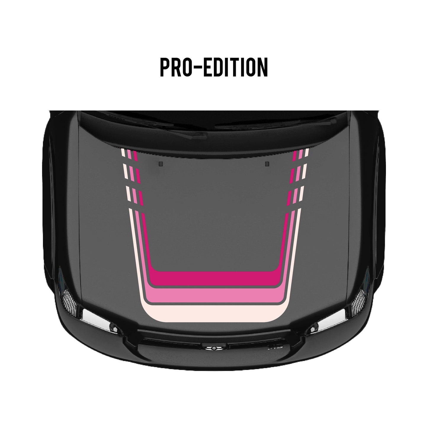 2001–07 Sequoia Checkered Stripe Kit