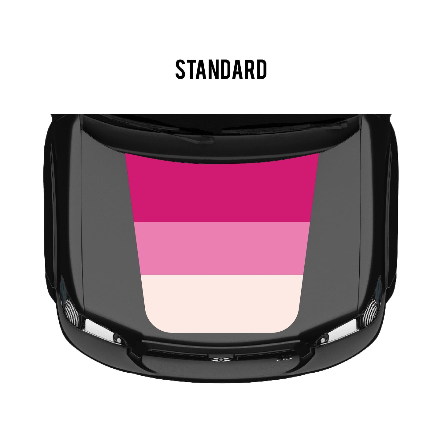 2001–07 Sequoia Checkered Stripe Kit