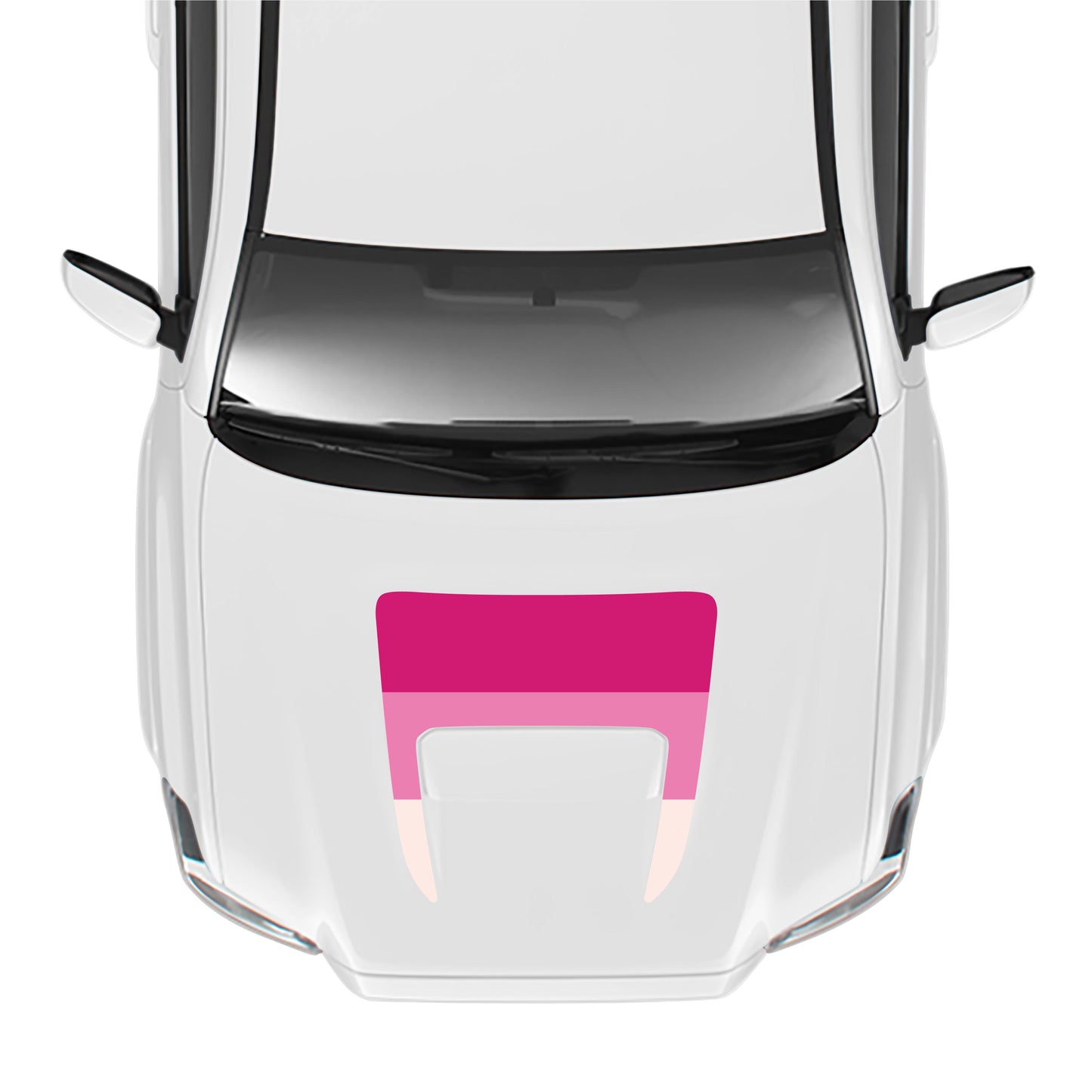 2016-23 Tacoma Sport/Pro Hood Stamp