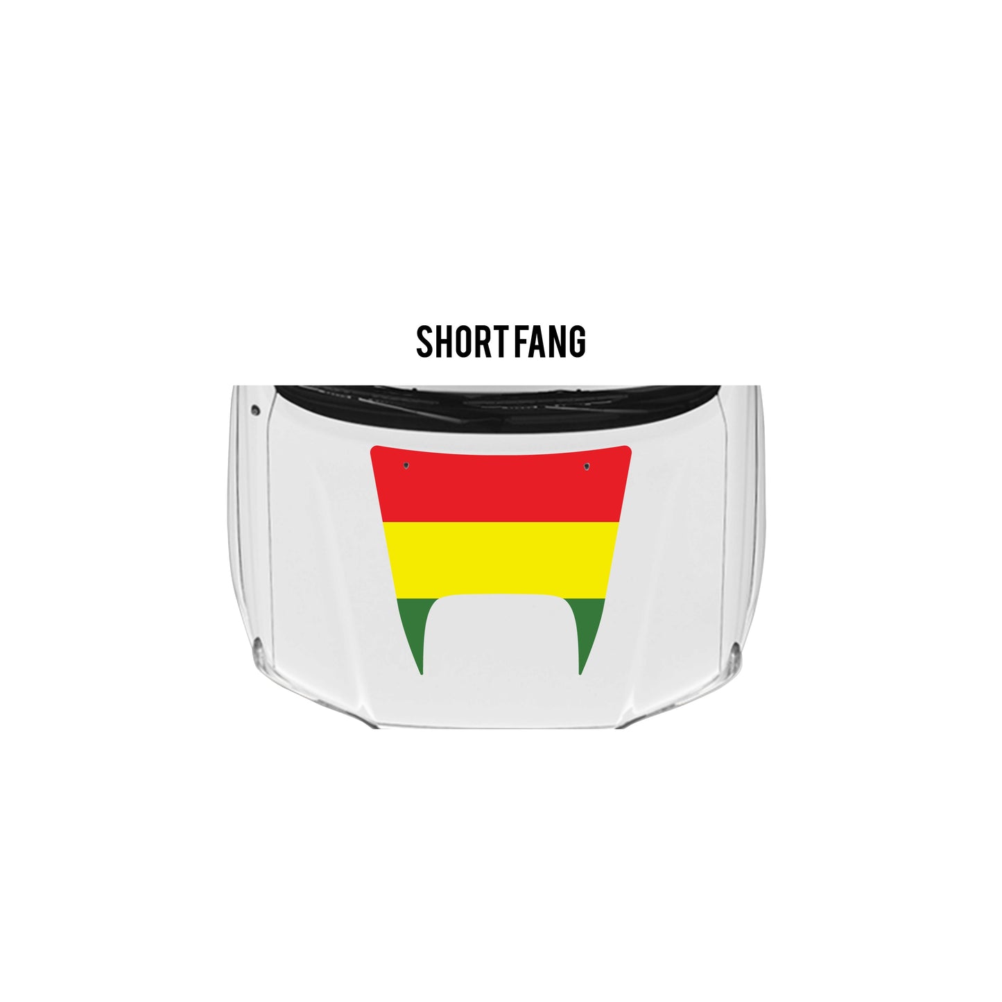 2005-15 Tacoma Checkered Stripe Kit