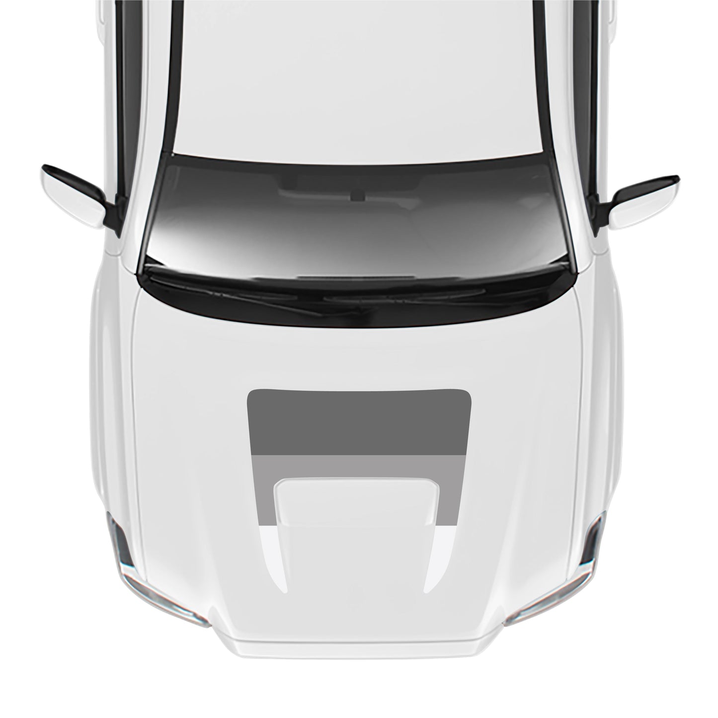 2016-23 Tacoma Sport/Pro Hood Stamp