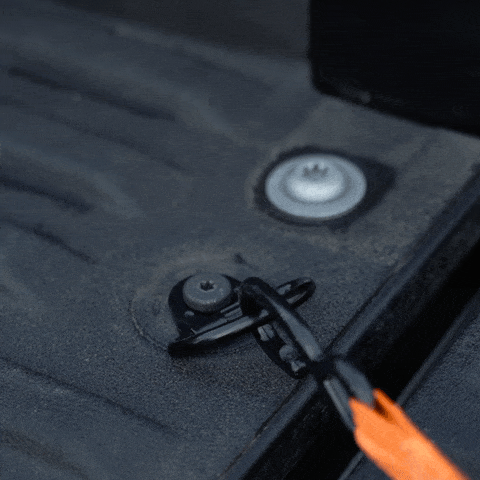 Tacoma Billet D-Rings (Pair)