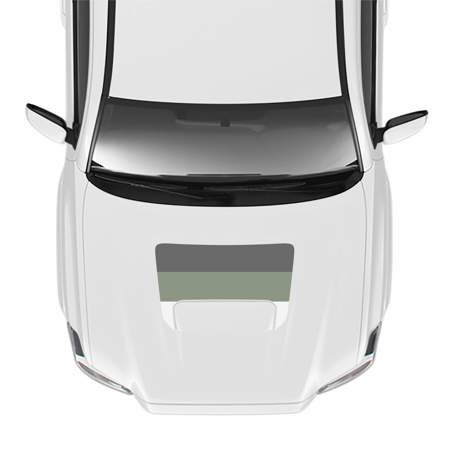 2016-23 Tacoma Sport/Pro Hood Stamp