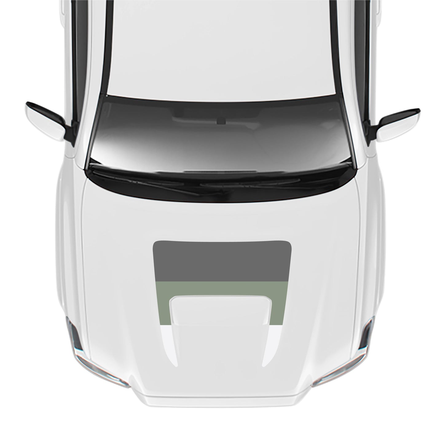 2016-23 Tacoma Sport/Pro Hood Stamp