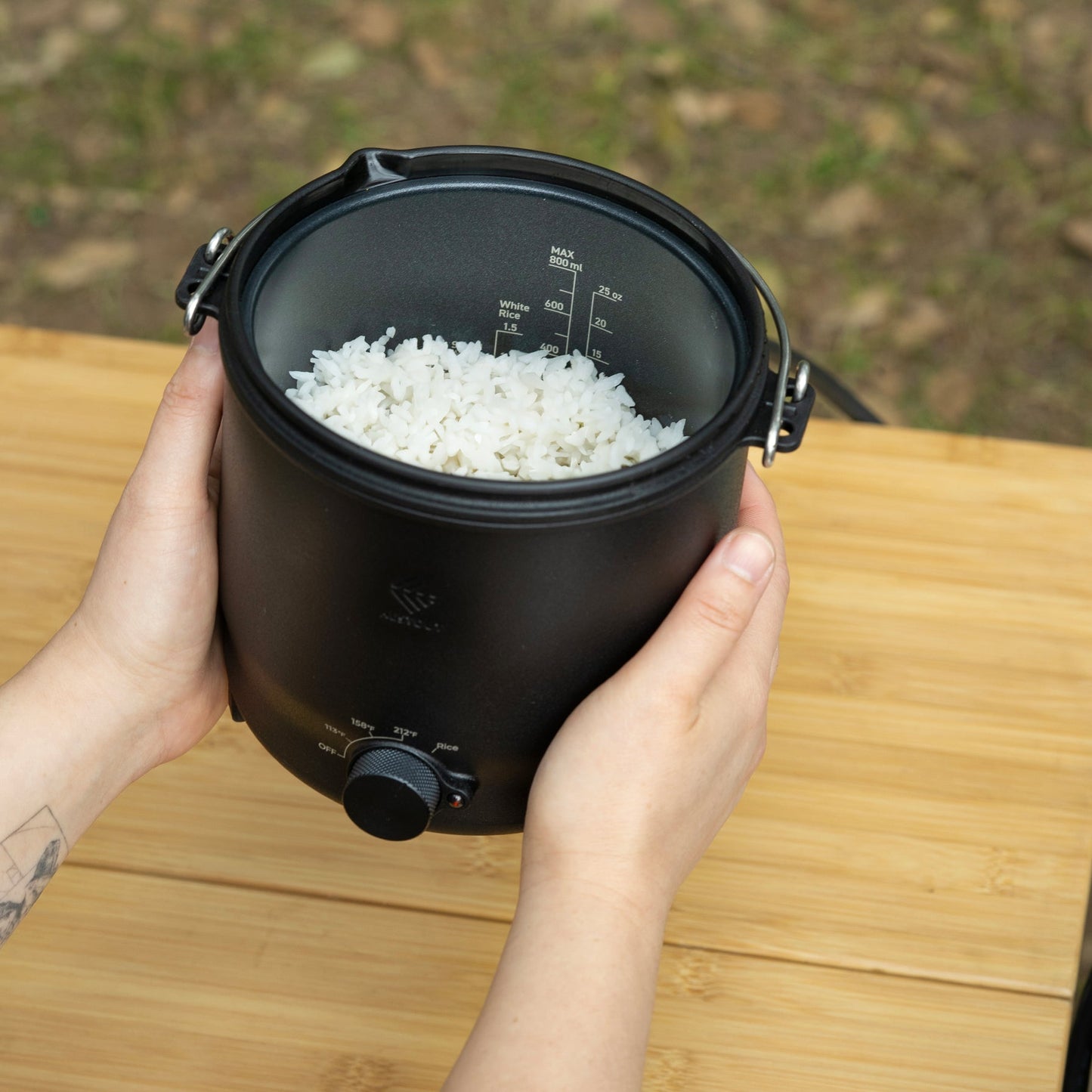 500W Portable Outdoor Cooker