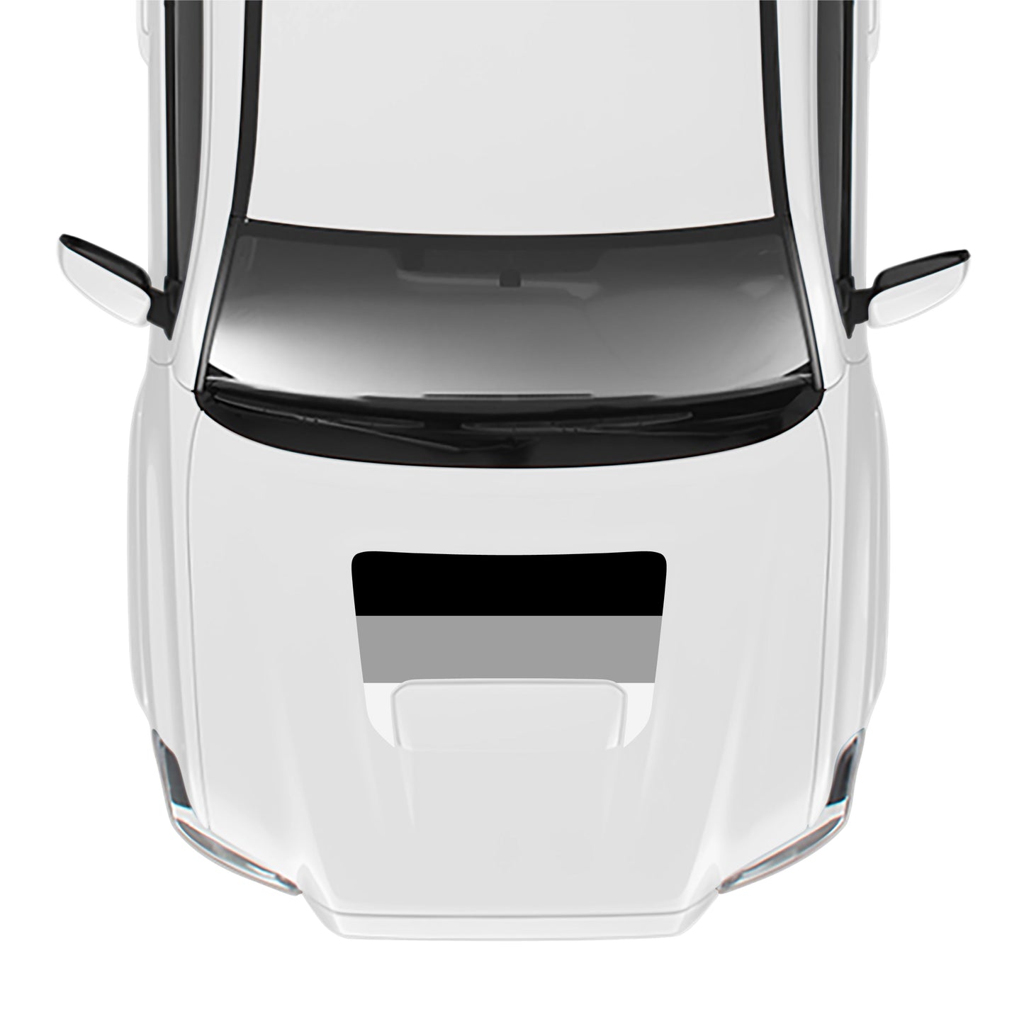 2016-23 Tacoma Sport/Pro Hood Stamp