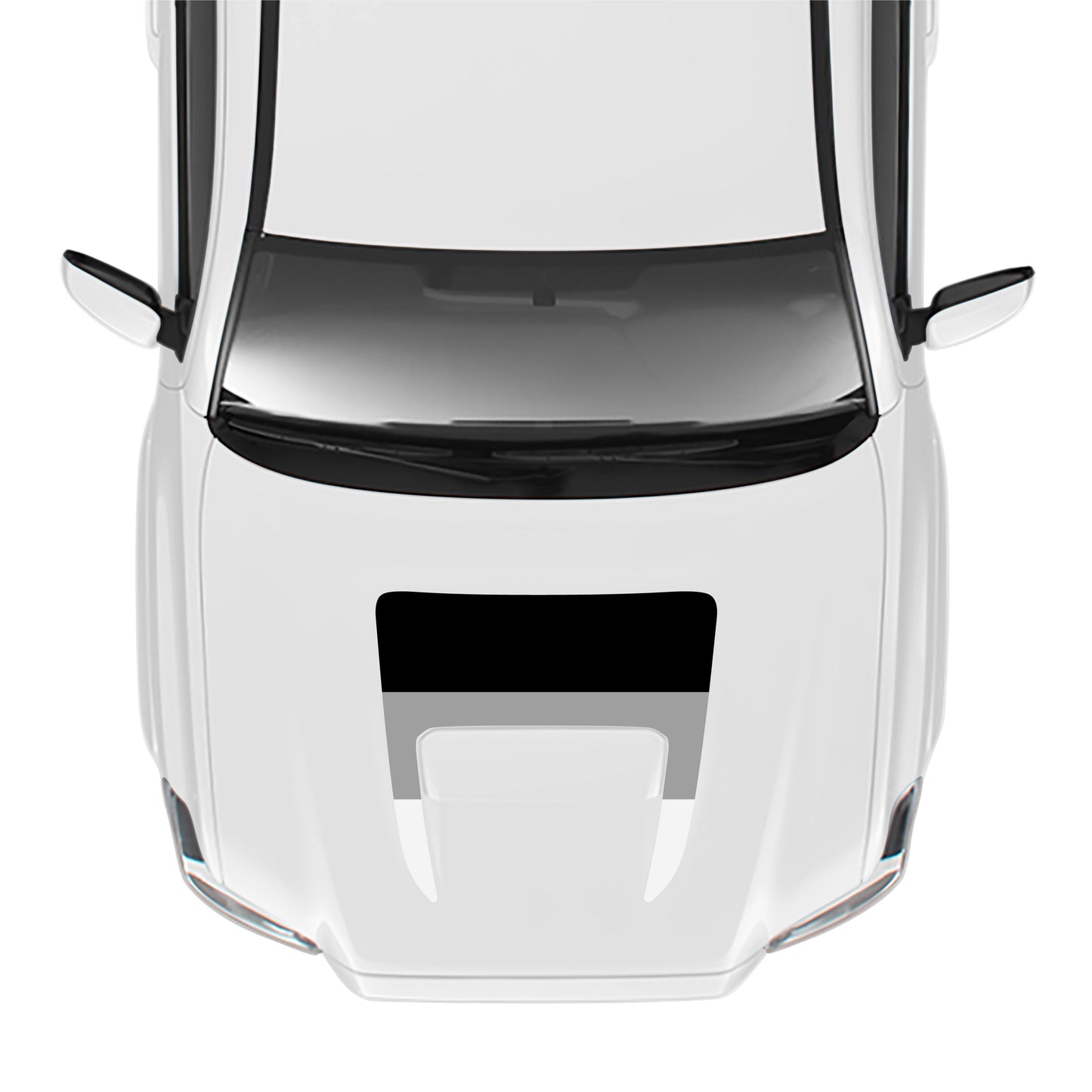 2016-23 Tacoma Sport/Pro Hood Stamp