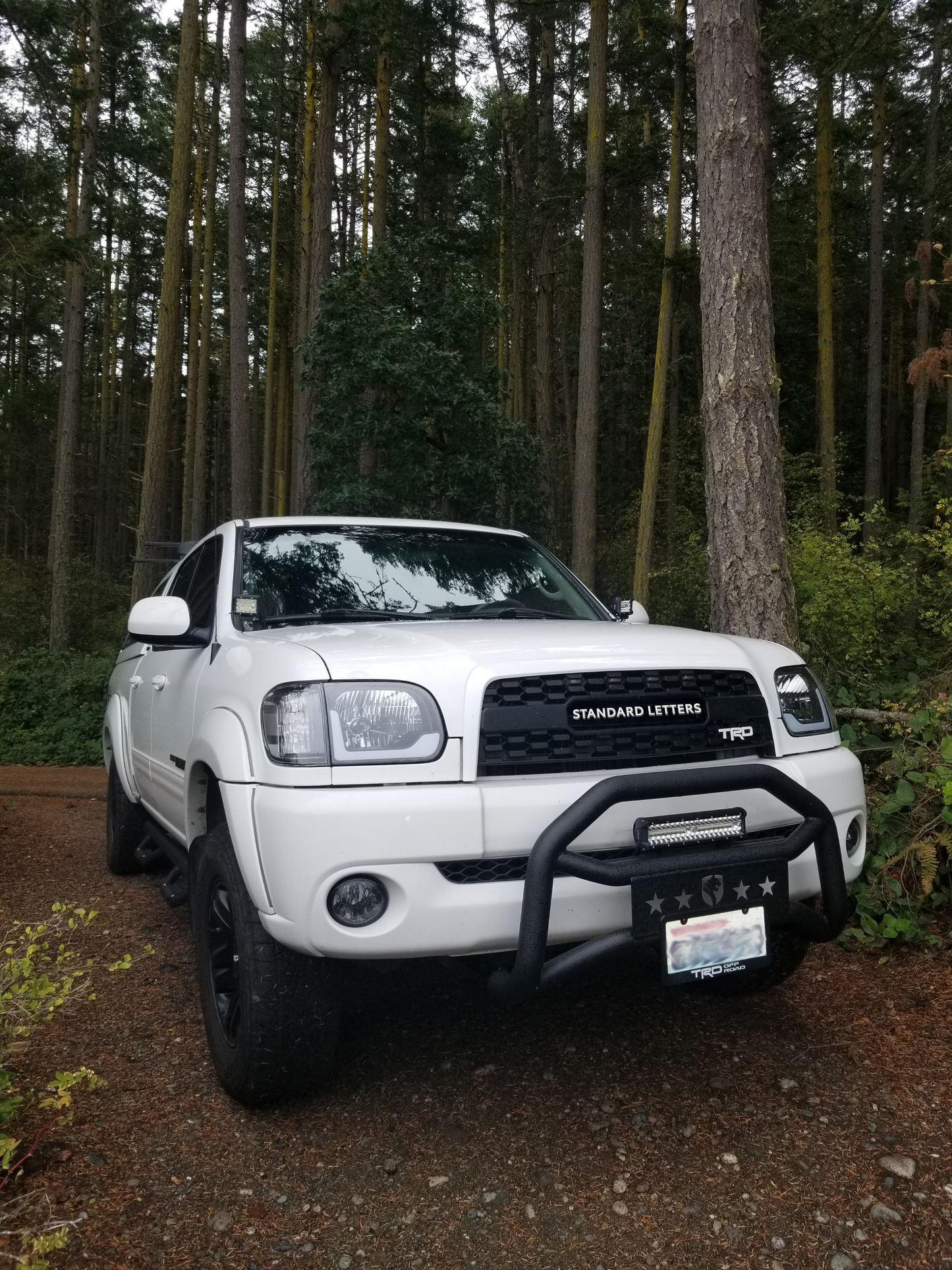 2003-06 Tundra Pro Grille