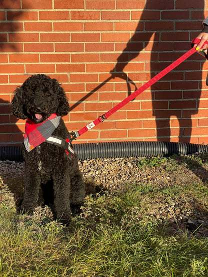 G.O. Overlanding Dog Leash